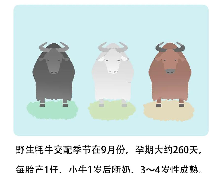 《胖达x胖达》第147话 第24页