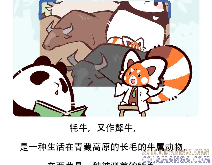 《胖达x胖达》第147话 第21页