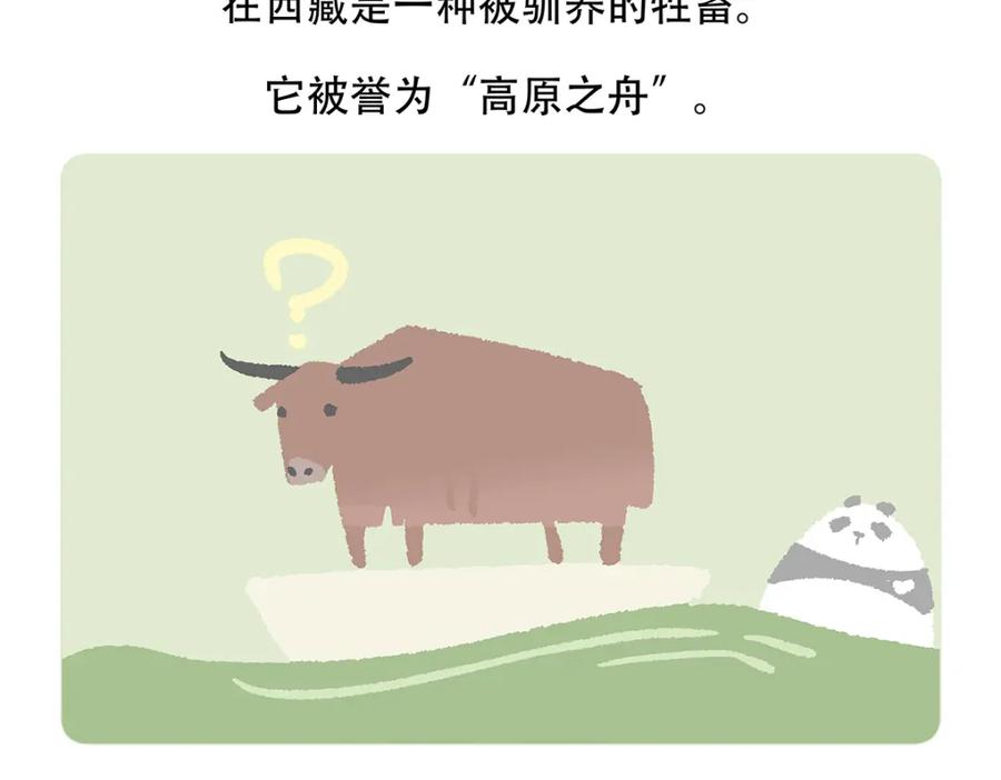 《胖达x胖达》第147话 第22页