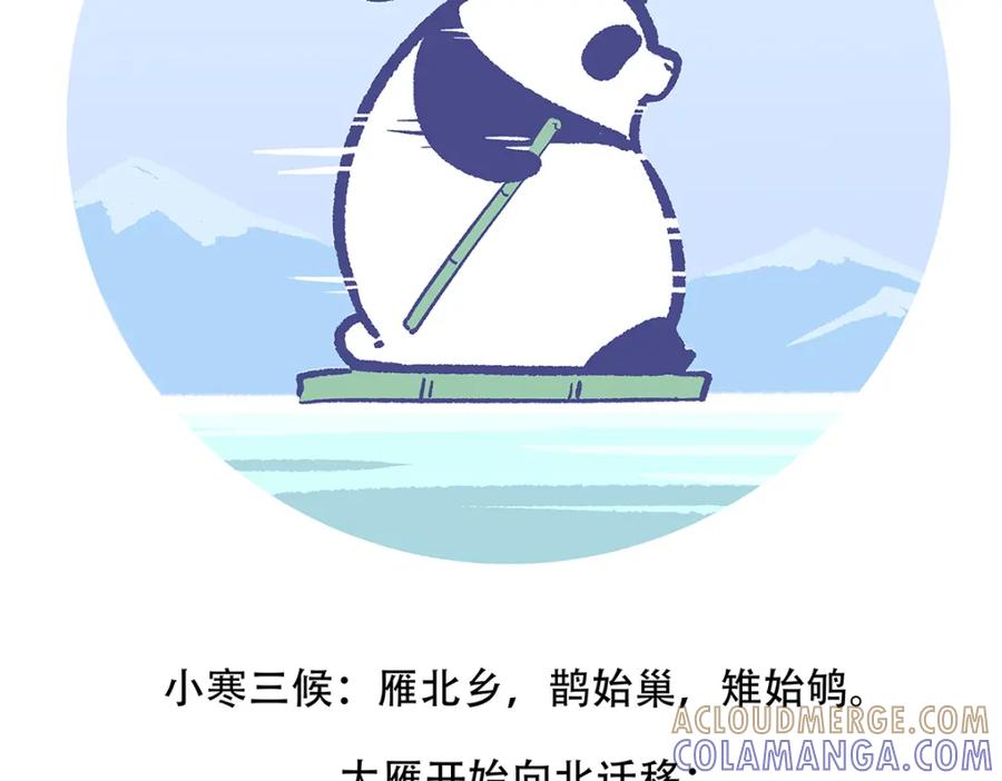 《胖达x胖达》第147话 第29页