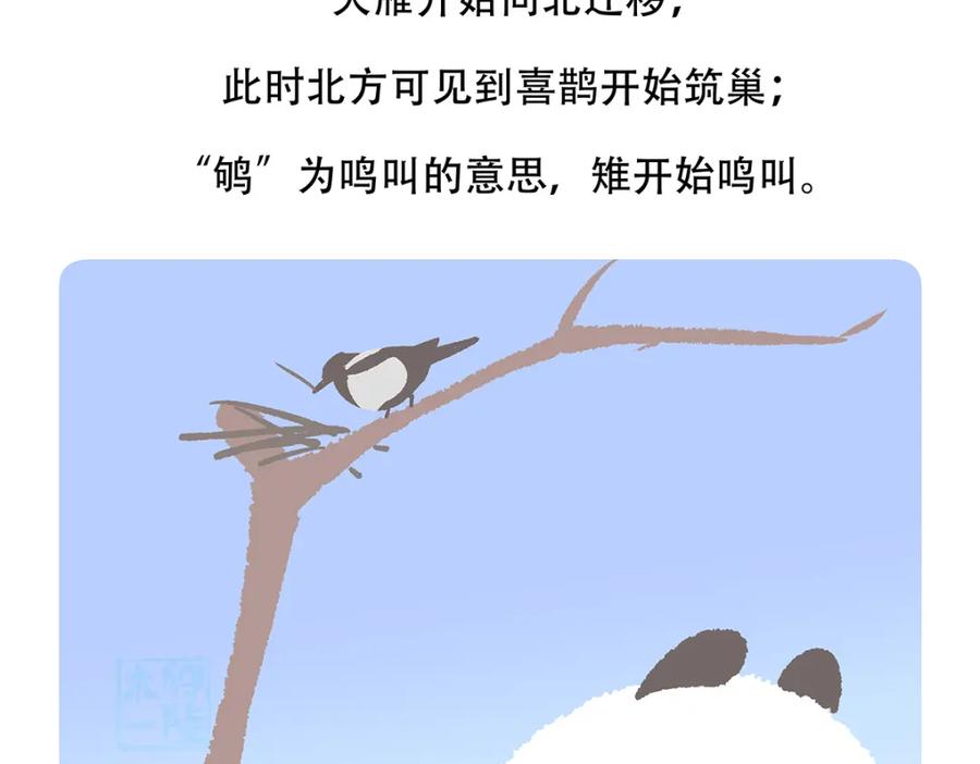 《胖达x胖达》第147话 第30页