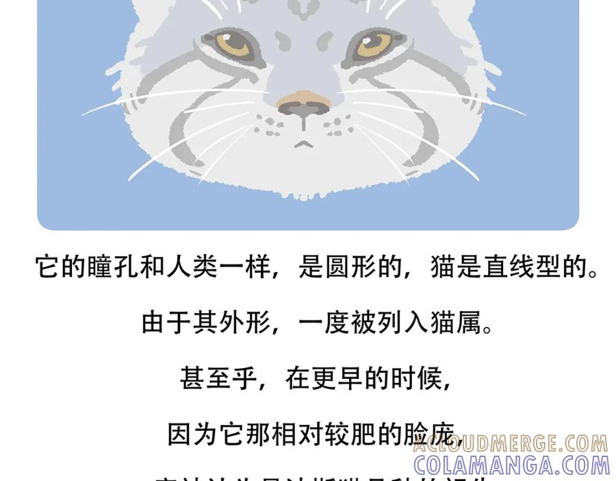 《胖达x胖达》第148话 第25页