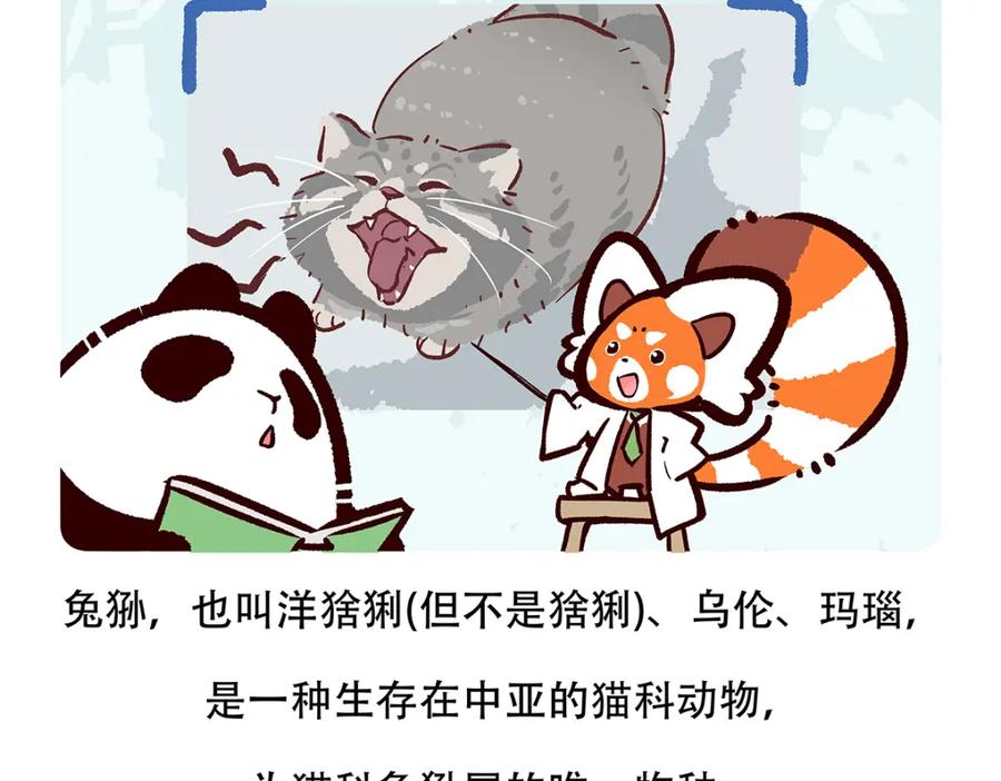 《胖达x胖达》第148话 第20页