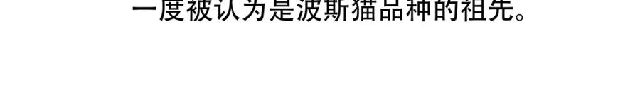 《胖达x胖达》第148话 第26页