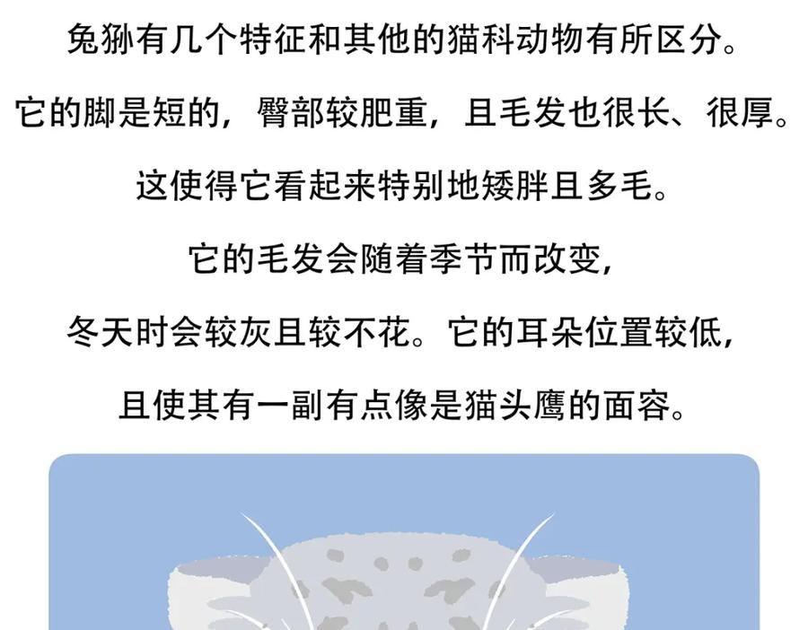 《胖达x胖达》第148话 第24页
