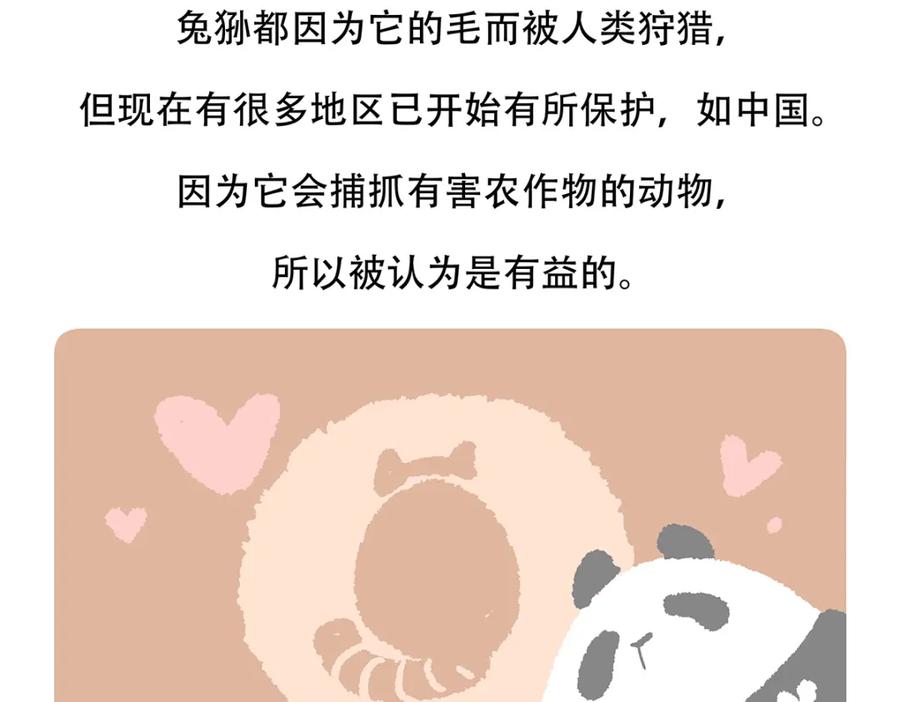 《胖达x胖达》第148话 第22页