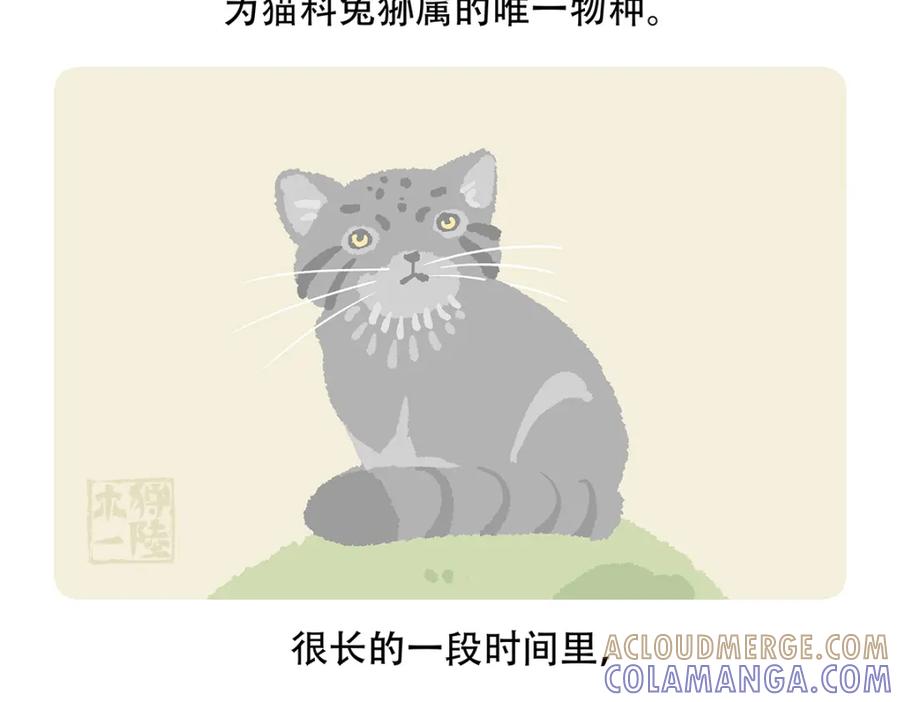 《胖达x胖达》第148话 第21页