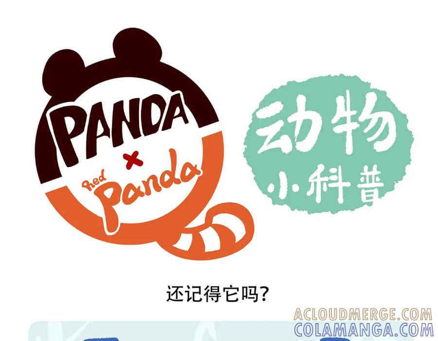 《胖达x胖达》第151话 第23页