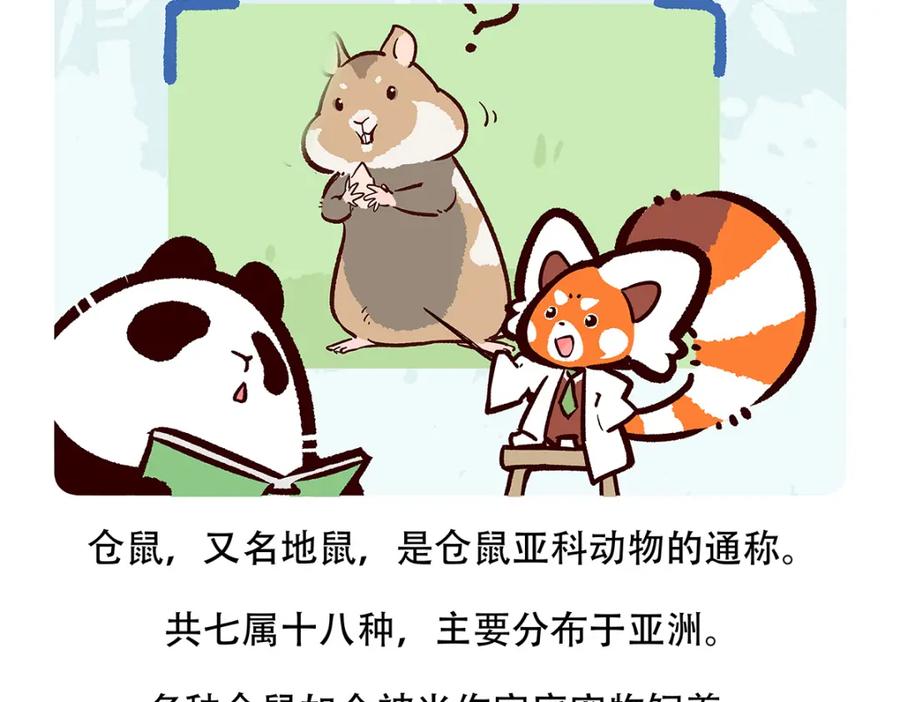 《胖达x胖达》第152话 第20页