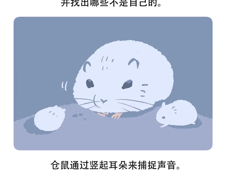 《胖达x胖达》第152话 第28页
