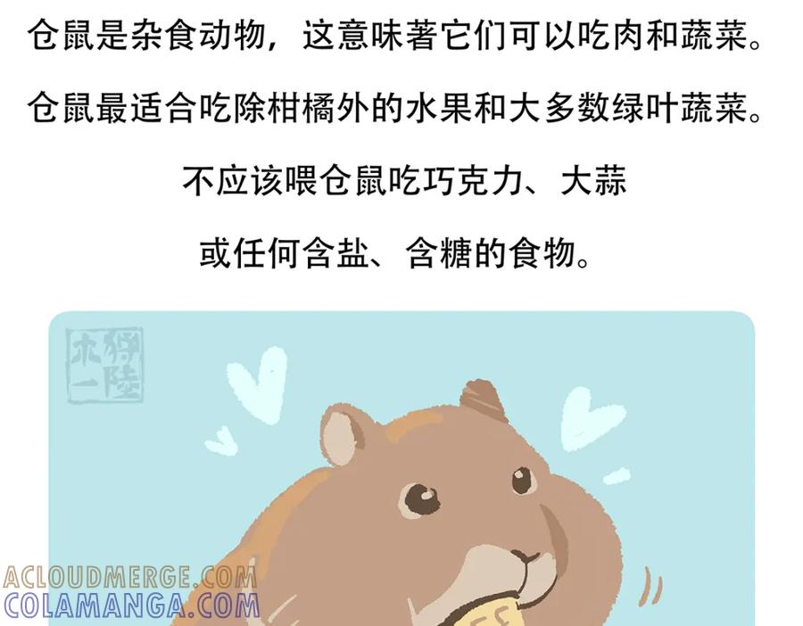《胖达x胖达》第152话 第31页