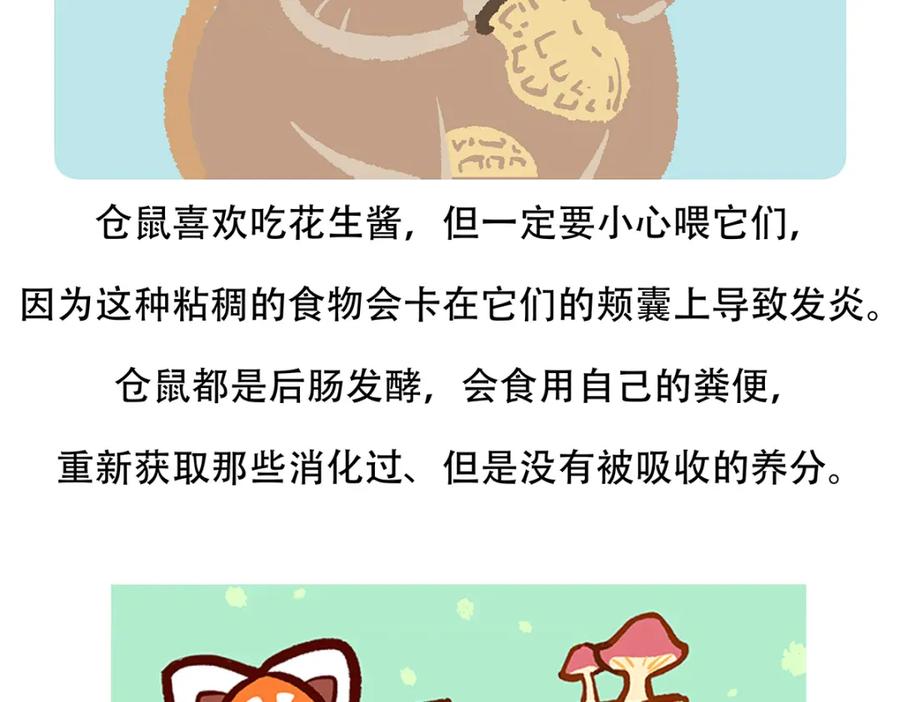 《胖达x胖达》第152话 第32页