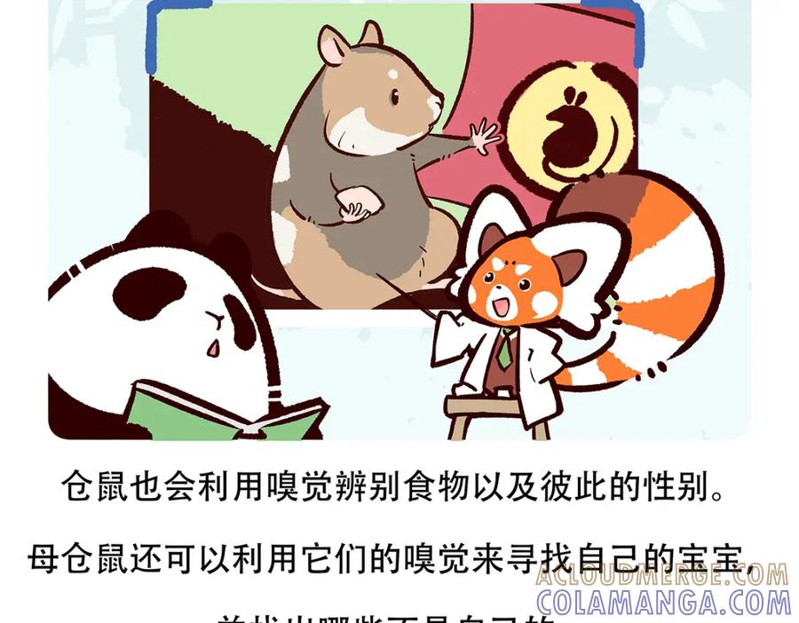 《胖达x胖达》第152话 第27页