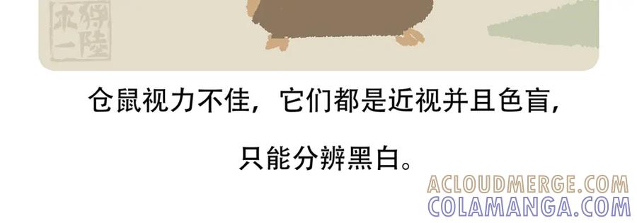 《胖达x胖达》第152话 第25页