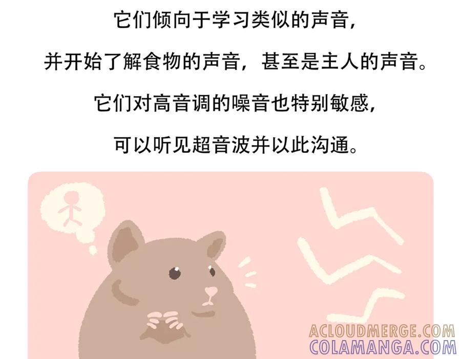 《胖达x胖达》第152话 第29页