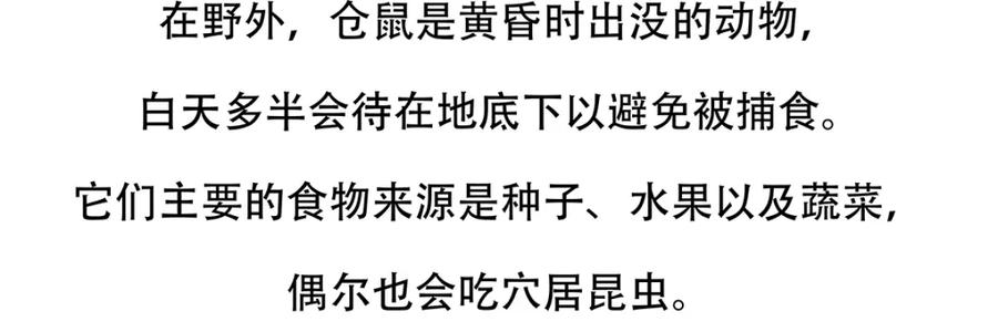 《胖达x胖达》第152话 第22页