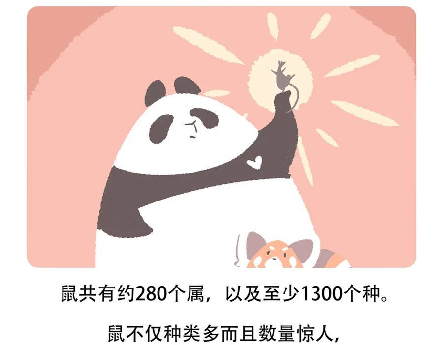 《胖达x胖达》第153话 第26页