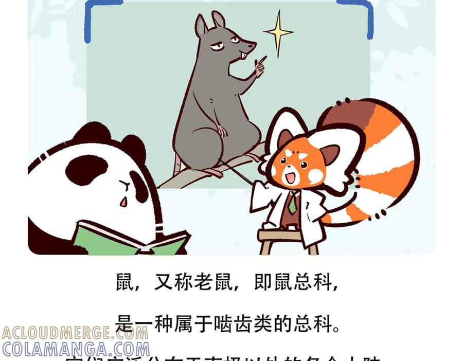 《胖达x胖达》第153话 第23页