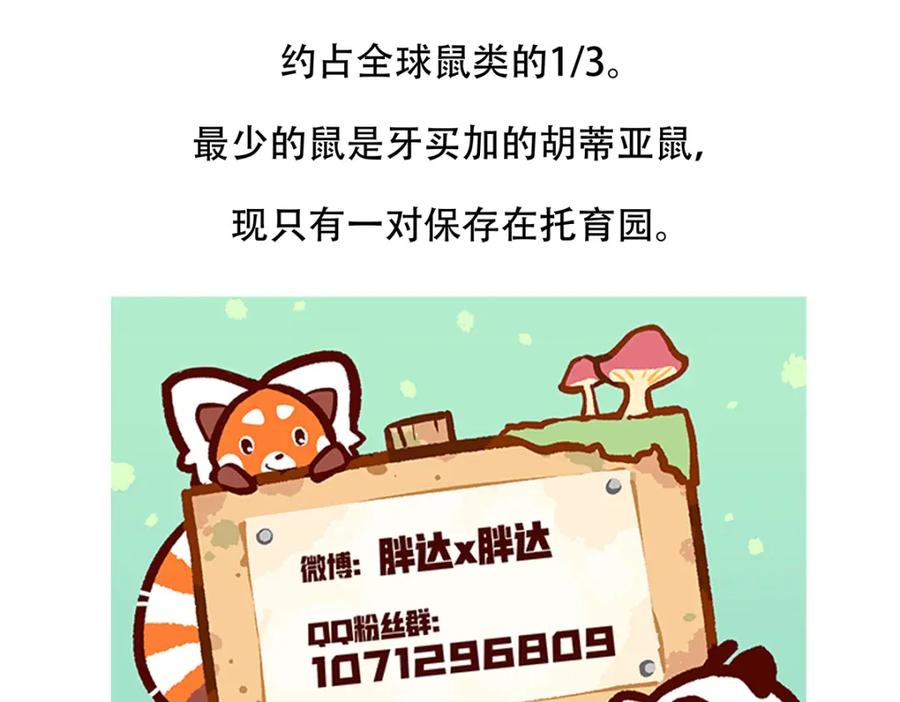 《胖达x胖达》第153话 第28页
