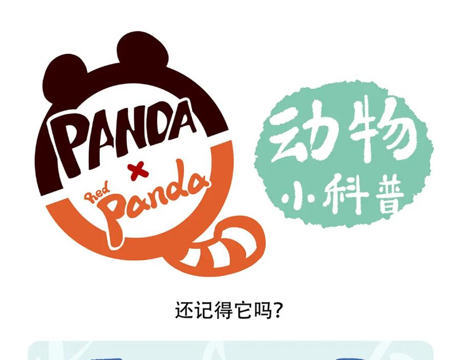《胖达x胖达》第153话 第22页