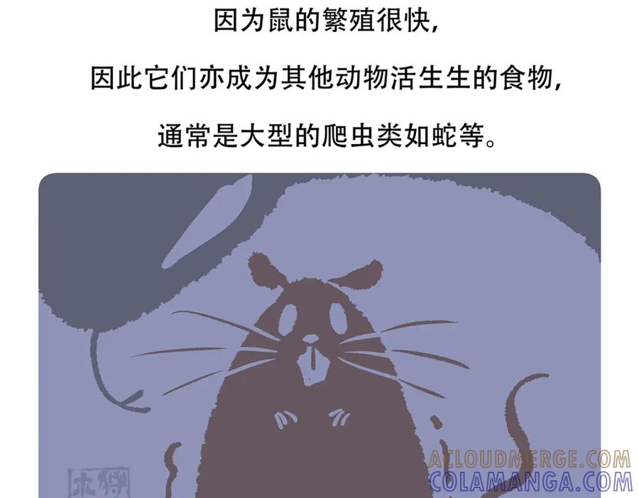 《胖达x胖达》第154话 第29页