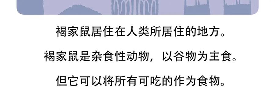 《胖达x胖达》第154话 第22页