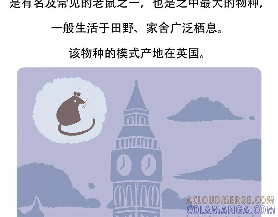 《胖达x胖达》第154话 第21页