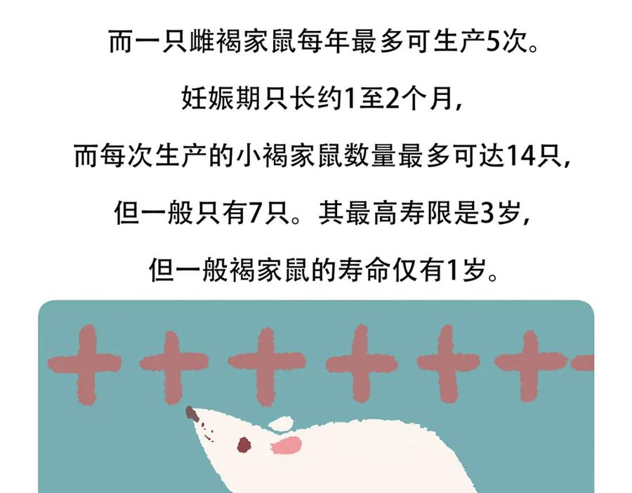 《胖达x胖达》第154话 第24页