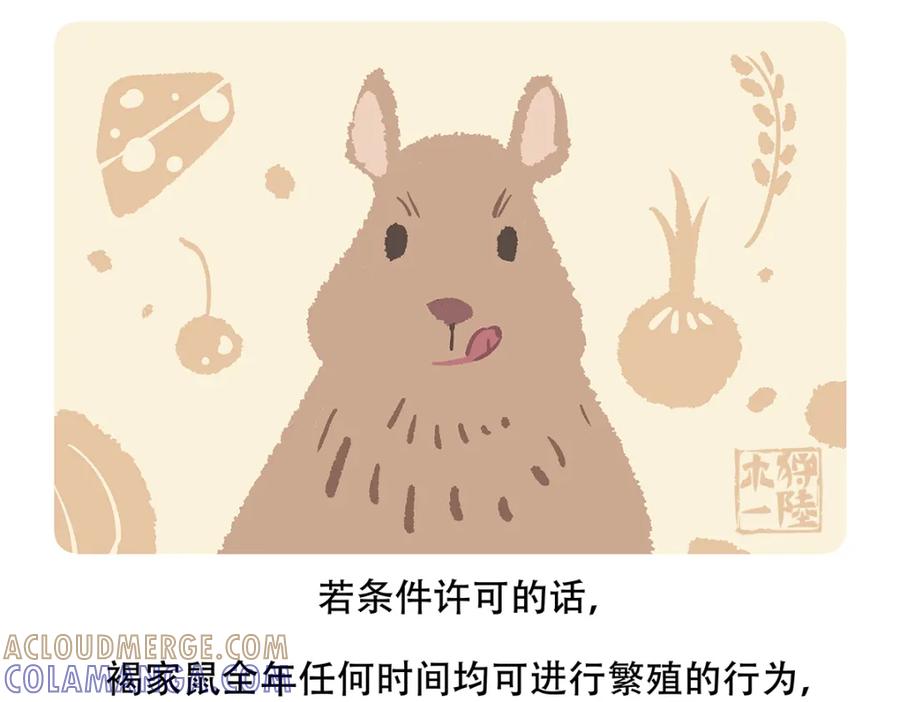 《胖达x胖达》第154话 第23页