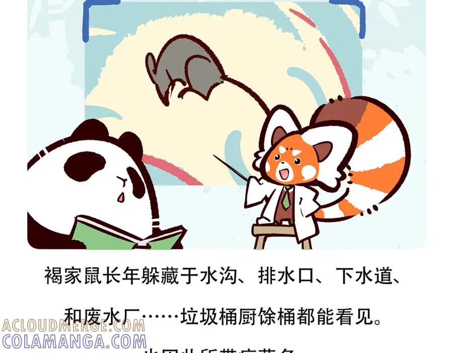 《胖达x胖达》第154话 第27页