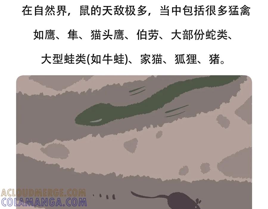 《胖达x胖达》第154话 第31页