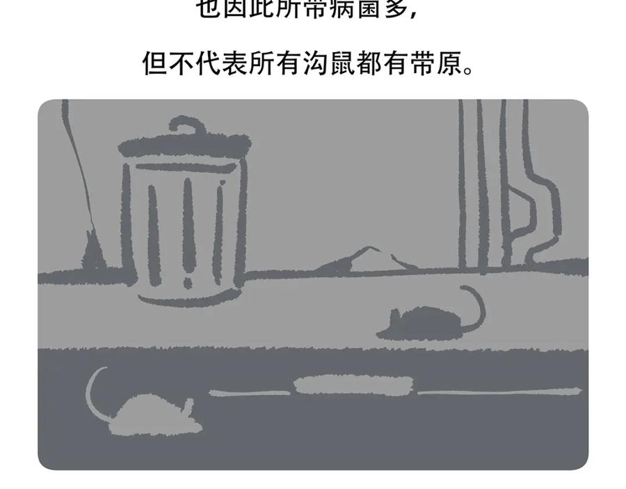 《胖达x胖达》第154话 第28页