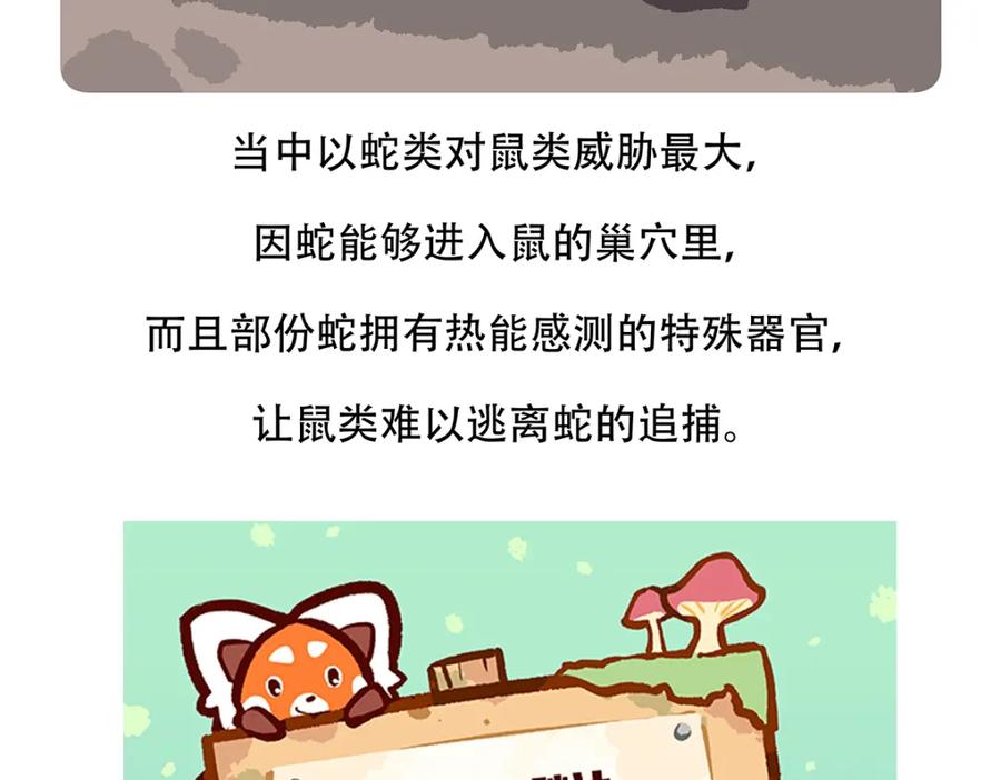《胖达x胖达》第154话 第32页
