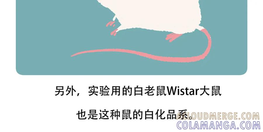 《胖达x胖达》第154话 第25页