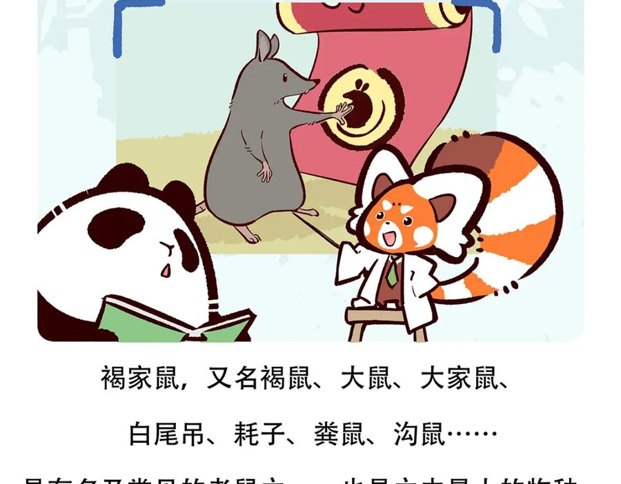 《胖达x胖达》第154话 第20页