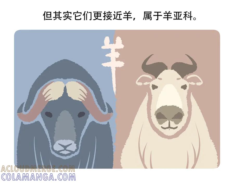 《胖达x胖达》第155话 第23页