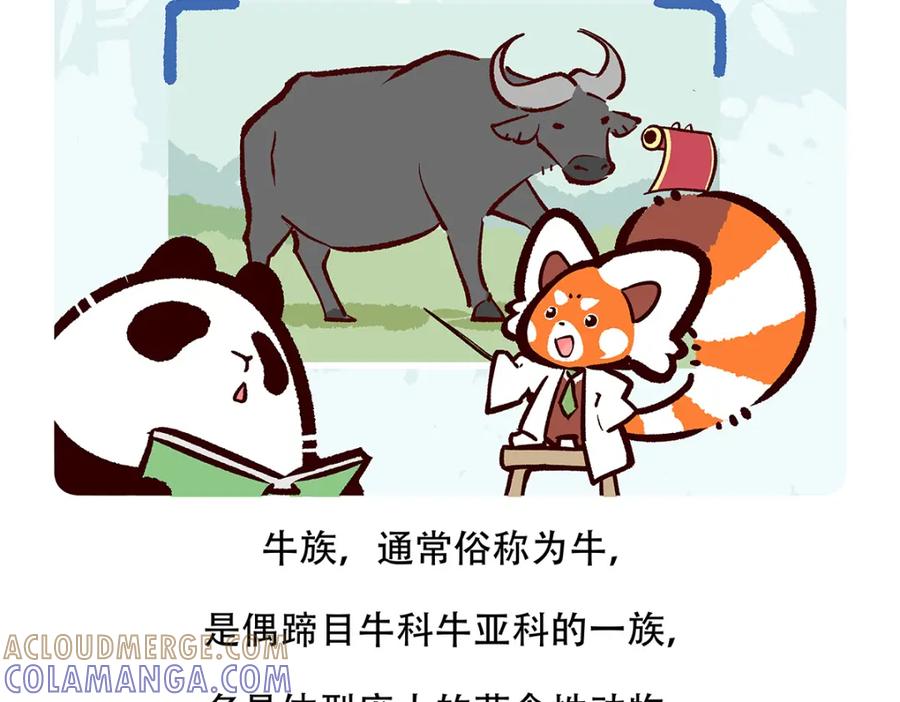 《胖达x胖达》第155话 第19页