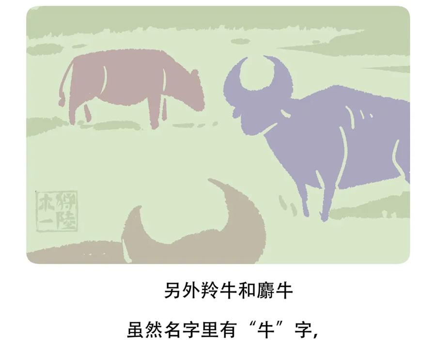 《胖达x胖达》第155话 第22页