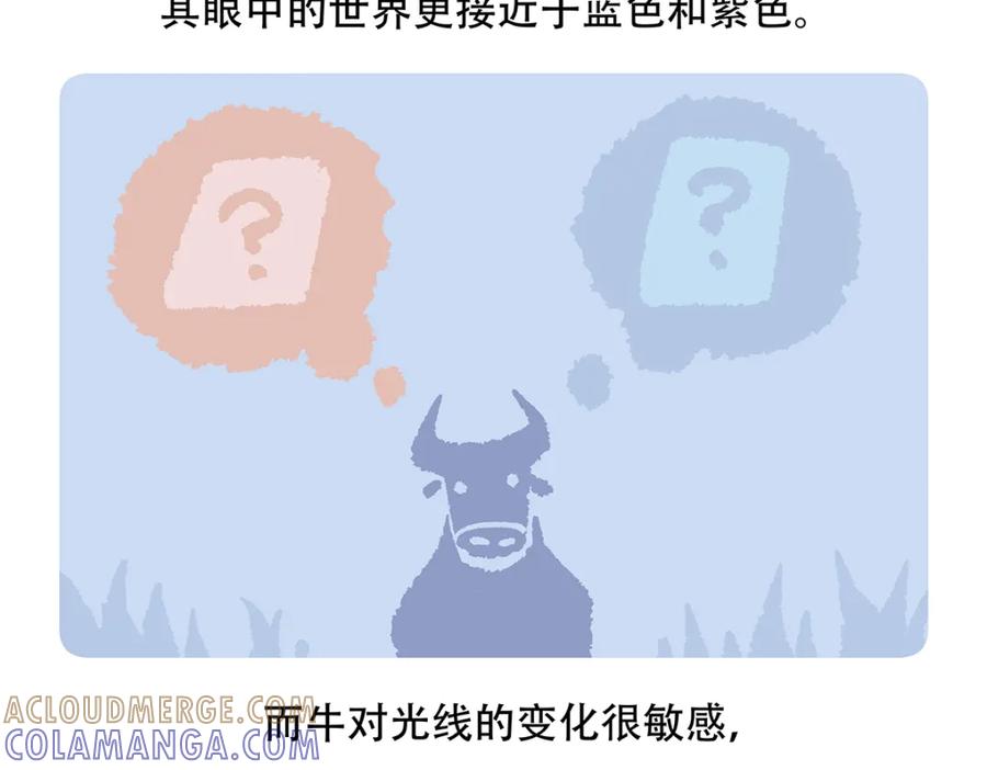 《胖达x胖达》第155话 第27页