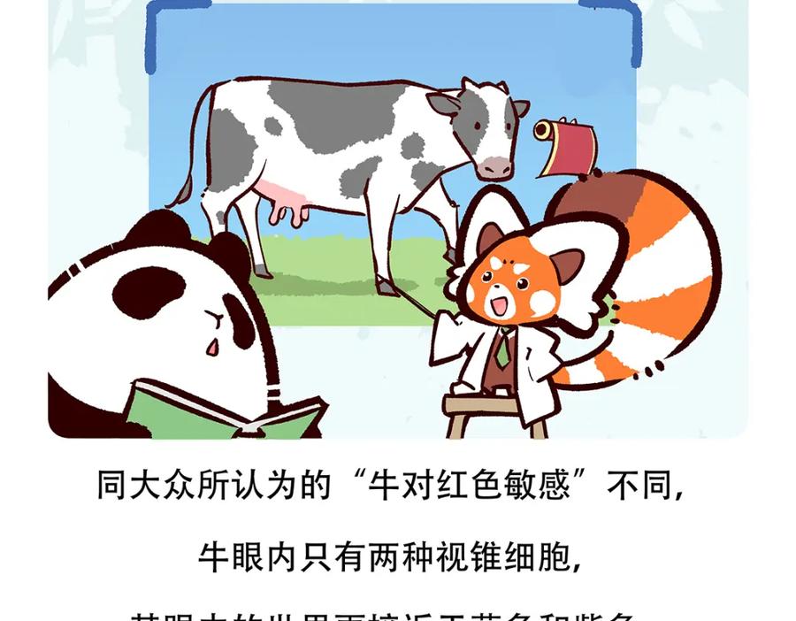 《胖达x胖达》第155话 第26页