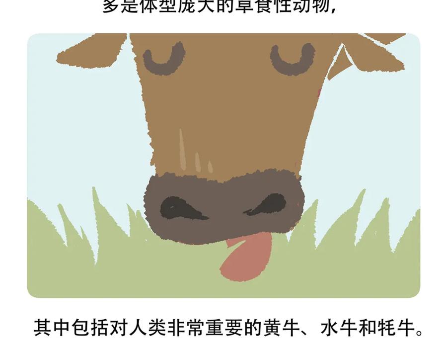 《胖达x胖达》第155话 第20页
