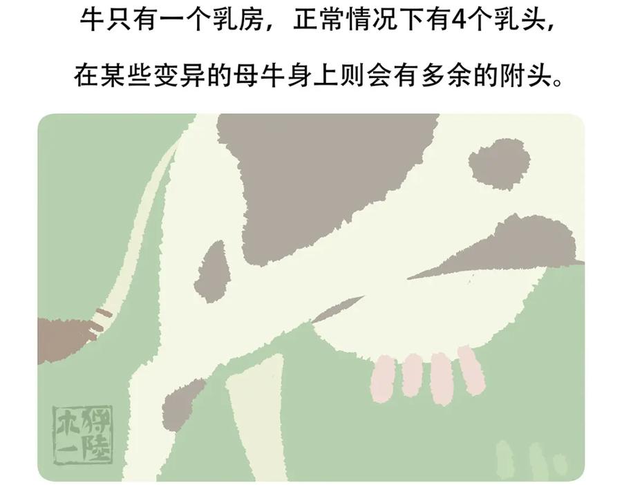 《胖达x胖达》第155话 第30页