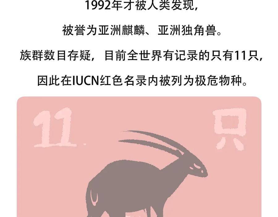 《胖达x胖达》第156话 第28页