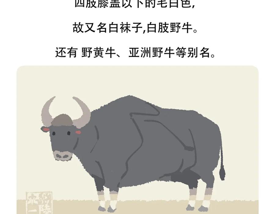 《胖达x胖达》第156话 第20页