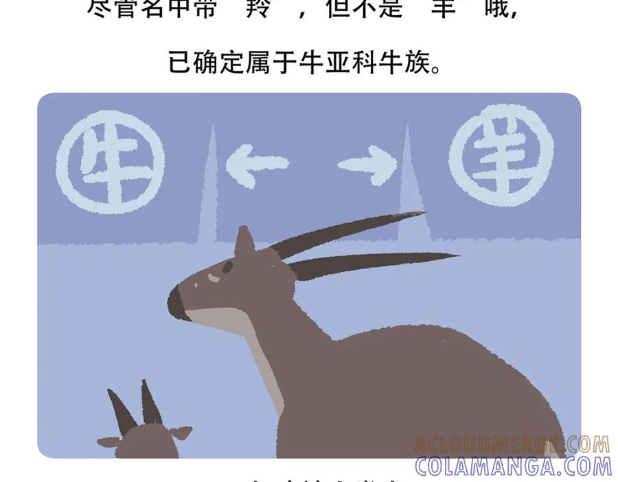 《胖达x胖达》第156话 第27页