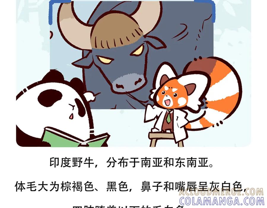 《胖达x胖达》第156话 第19页