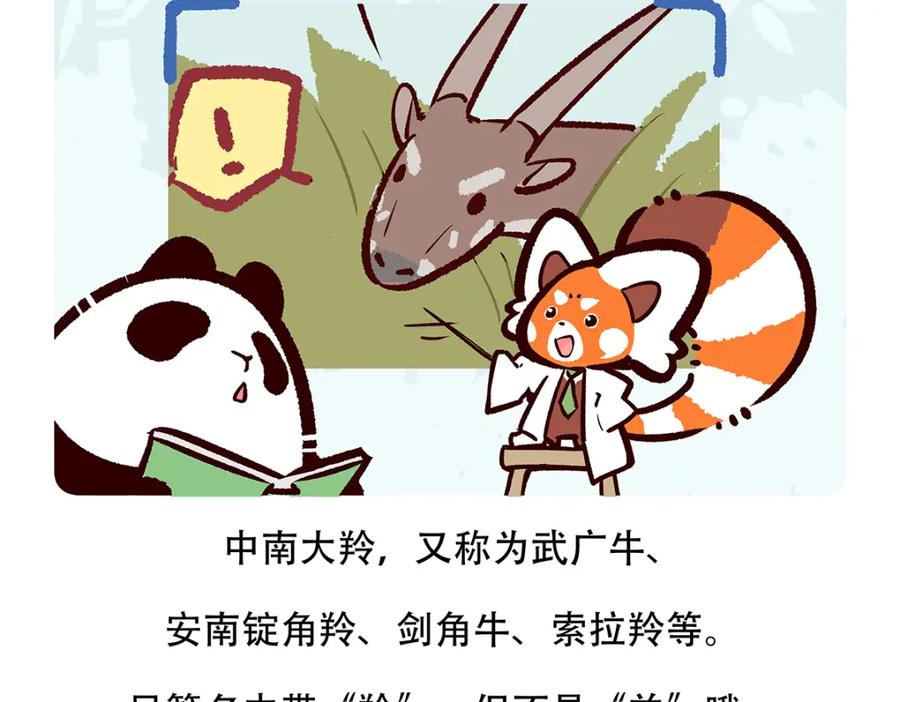 《胖达x胖达》第156话 第26页