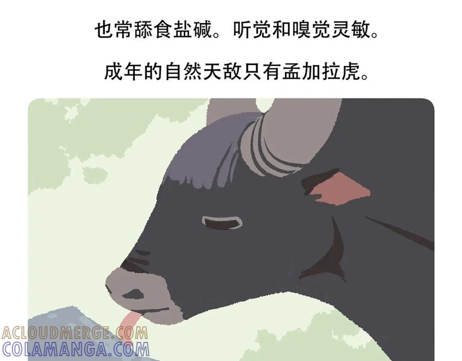 《胖达x胖达》第156话 第23页