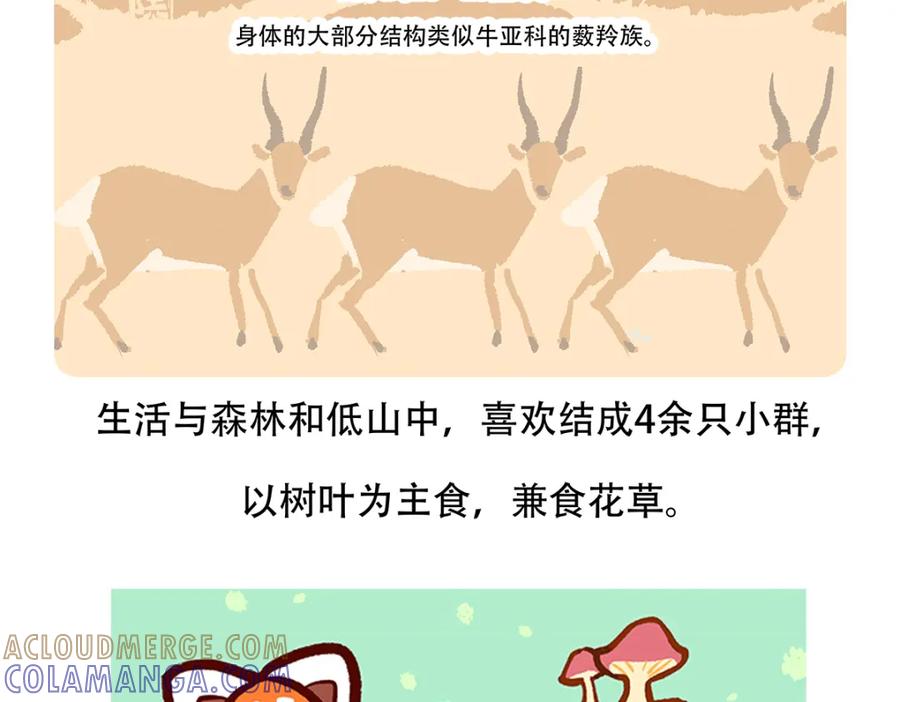 《胖达x胖达》第156话 第31页