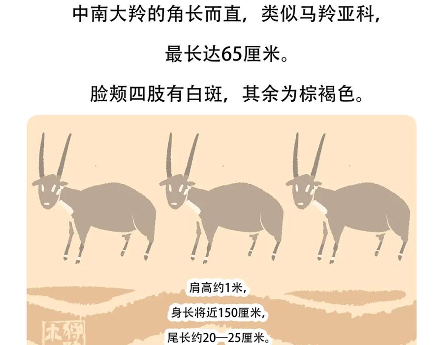 《胖达x胖达》第156话 第30页